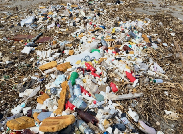 plastic on the shore