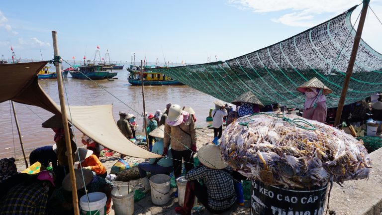nam dinh fish market women 3
